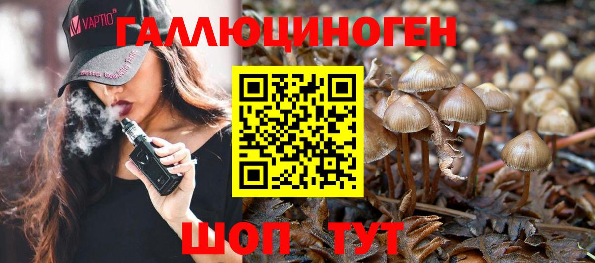 Псилоцибиновые грибы мицелий Балаково